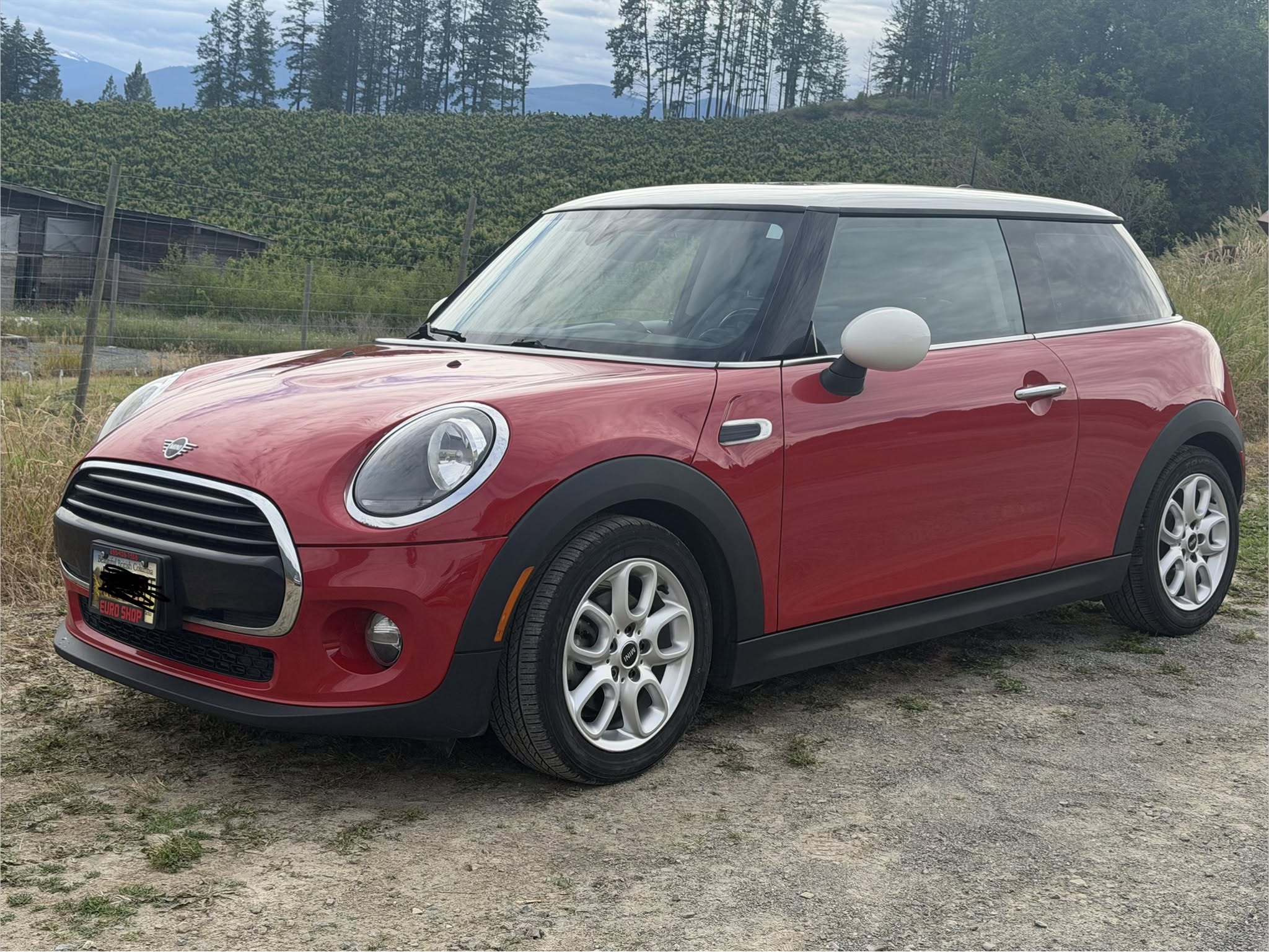 Machine paint correction and polishing in Creston BC — Wheel to Wheel Detailing