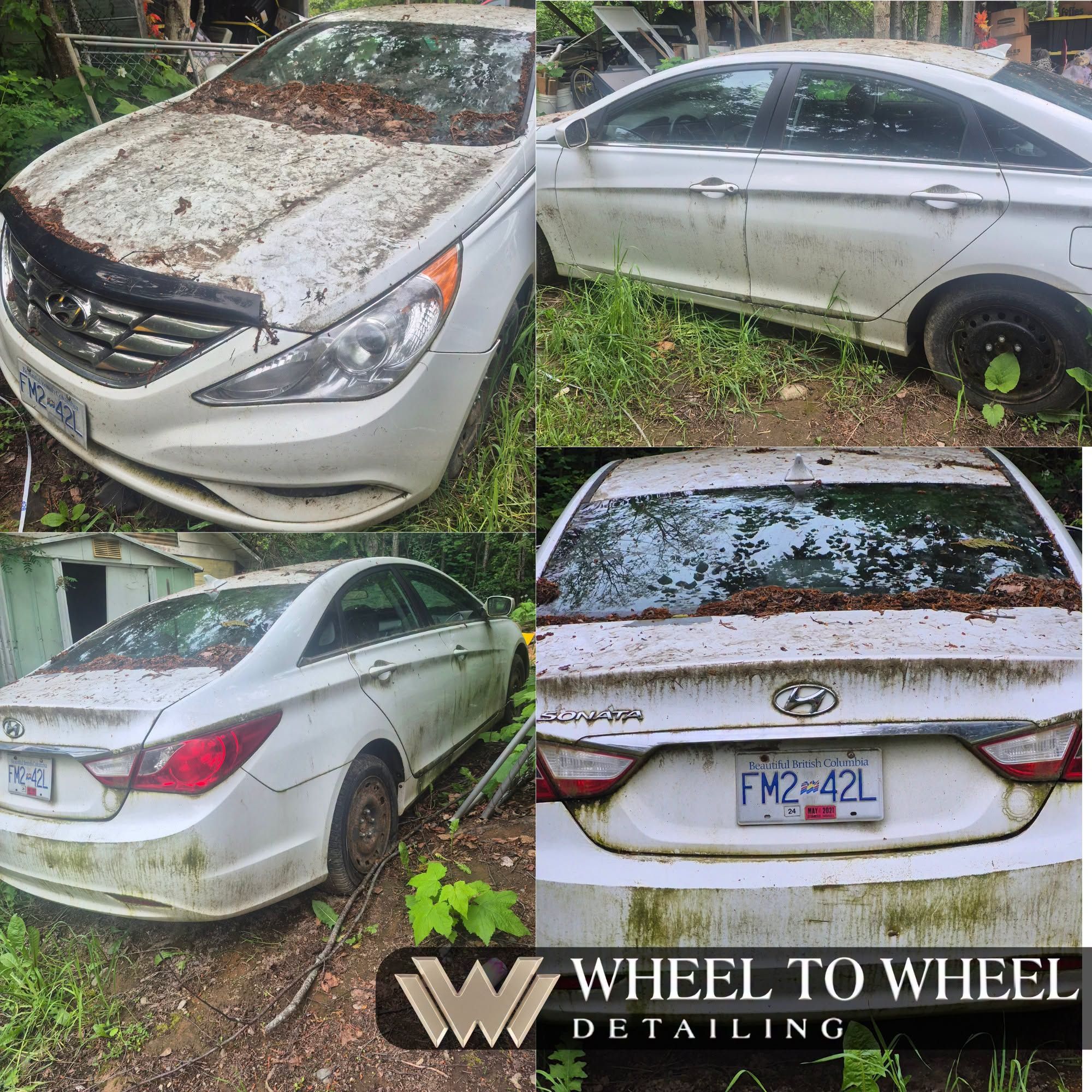Completed interior detail — Wheel to Wheel Detailing, Creston BC